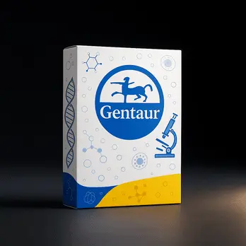 10x Laemmli (Tris-gLycine Buffer) - 4 x sachets