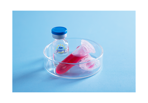 [GEN - PYT346-2ug] TPO Mouse